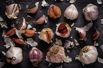 Fresh garlic bulbs and cloves grouped on black background