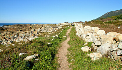 Fototapeta na wymiar Portuguese Way of Saint James, along the coast in Galicia
