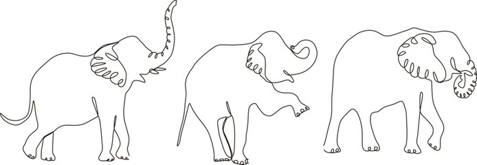 Outline elephant family coloring page. Animal object isolated for print, for web