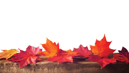 Naklejka na ściany i meble Maple leaves on wood isolated on white background with copy space in autumn banner Generative ai