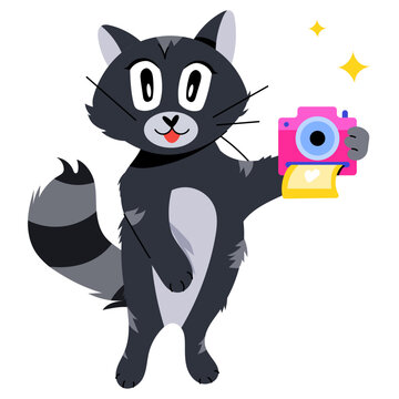 Cat Camera 