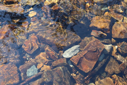 Bachbett im Harz