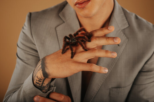 Close up of tarantula on the hand