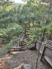 wooden bridge in the woods