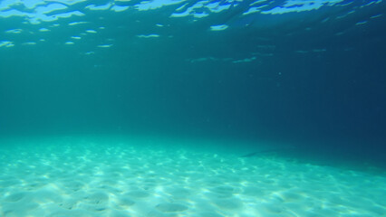 Naklejka na ściany i meble Underwater sea ocean deep coral blue