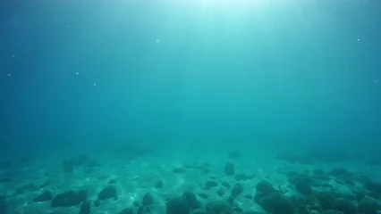 Foto op Aluminium Underwater sea ocean deep coral blue © stocker