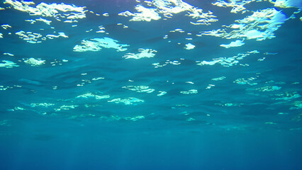 Fototapeta na wymiar Underwater sea ocean deep coral blue