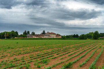 Fototapeta na wymiar Rural landscape near Borgarello, Pavia province