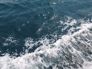 Fototapeta na wymiar wave of the sea