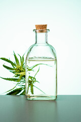 Medicinal cannabis with extract oil in a bottle