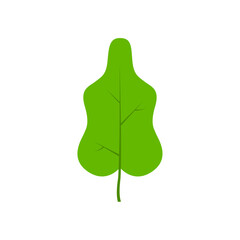 Green tree leaf vector illustration isolated on transparent background