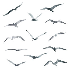 Clipart birds, seagulls clipart background, abstract birds background.