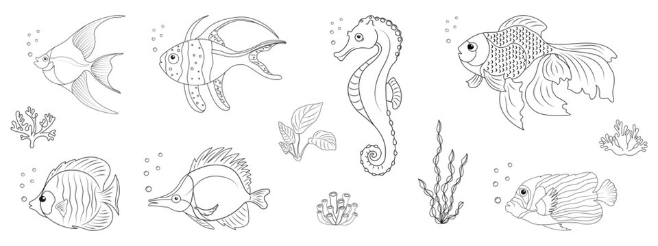 Set of different tropical fish in linear style. Doodle illustration of sea animals. Ocean dwellers and underwater vegetation