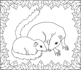 Common treeshrew with a cub in a frame of leaves - a vector linear picture for coloring. Outline. Tupaia glis for coloring with animals