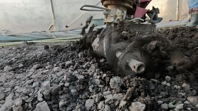 There is farmer plows ground in garden with tiller block using motor cultivator