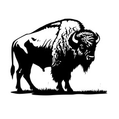 Obraz na płótnie Canvas buffalo, nature, bison, animal, wild, mammal, wildlife, bull, american, cattle, horns, isolated, graphic, large, illustration, farm, white, america, fur, male, brown, horn, landscape, drawing, art, de