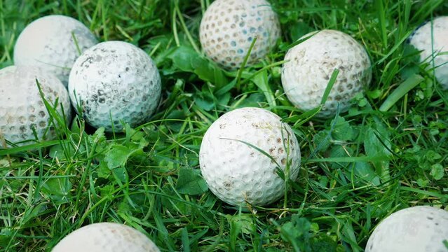 Golf Ball Lands In The Rough With Many Other Lost Balls
