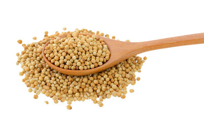 Coriander seeds in wood spoon on transparent png