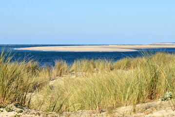 France, aquitaine, côte atlantique, le banc d'Arguin et la pointe du cap Ferrat vus d'un dune au sud du Bassin d'Arcachon.