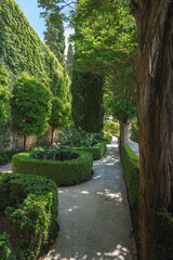 Fototapeta na wymiar Garden of the Ramparts (Jardin de los Adarves) at Alcazaba area of Alhambra fortress - Granada, Andalusia, Spain