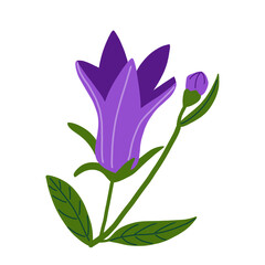 Ilustration of purple flower with leaves and bud