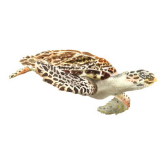 Obraz premium sea life watercolor sticker collection