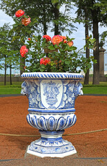 Ancient porcelain flowerpot with blooming roses in Summer Garden. St. Petersburg