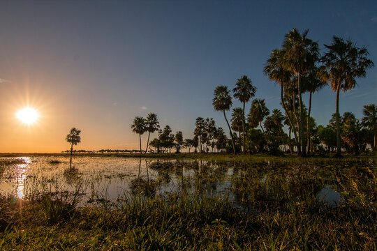 Flooded fields in Esteros del Ibera, Corrientes, Argentina
