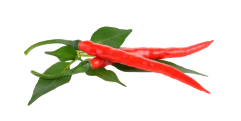 Gardinen Chilischoten chili with leaf on transparent png  © sommai