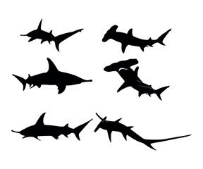 Collection of hammerhead shark vector silhouettes isolated on a white background - obrazy, fototapety, plakaty
