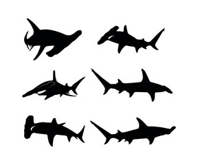 Collection of hammerhead shark vector silhouettes isolated on a white background - obrazy, fototapety, plakaty