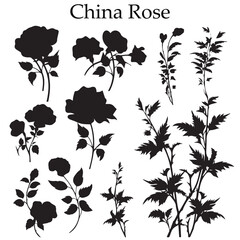 A set of Silhouette China Rose Flower Vector illustration