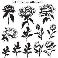 A set of black Flower vector illustration