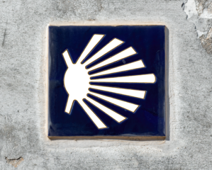 Caminho de Santiago. Png