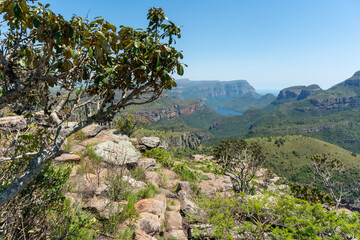 View over Blyde Canyon near Hoedspruit in South Africa.