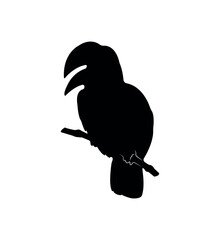 Vector flat toucan silhouette isolated on white background