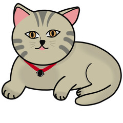 Cute tabby cat