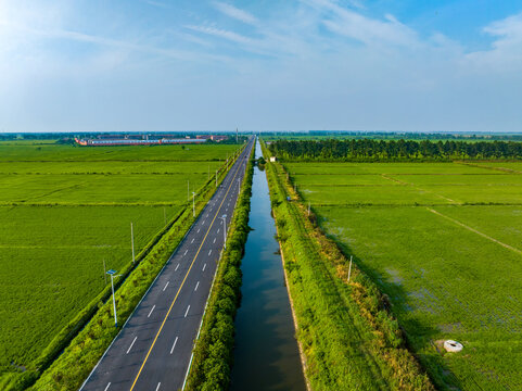 Overlook of green rice fields, spacious road