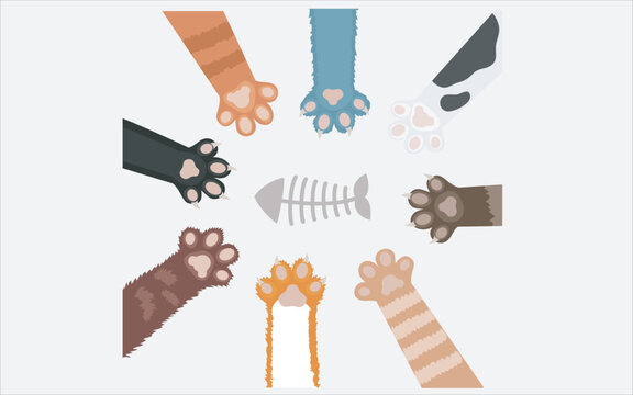 Paws Up Pets Set Isolated On White Background Vector Illustration ,Cat Footprint Images - Free Download 