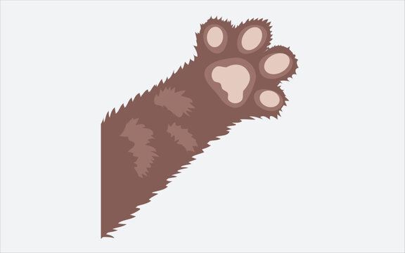 Paws Up Pets Set Isolated On White Background Vector Illustration ,Cat Footprint Images - Free Download 