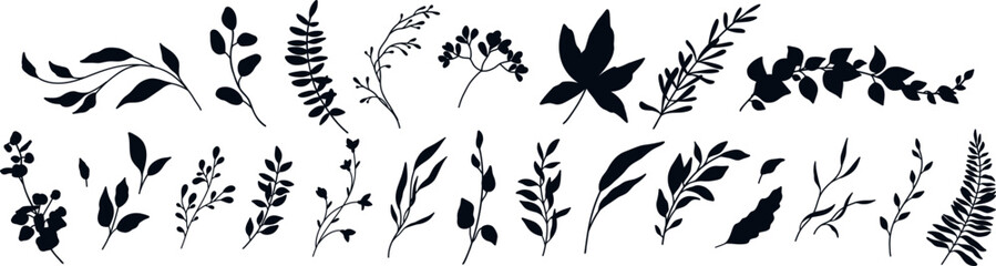 Botanical floral set in silhouette style. Hand drawn minimalistic elegant herbs, twigs, branches, flowers and leaves. Vector trendy wedding greenery
