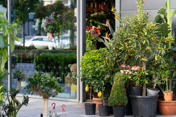 Flowers are near a flower shop on a city street.