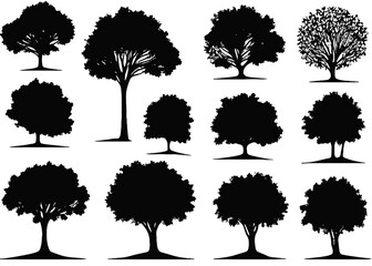 Harmonious Collection: Black Tree Silhouettes in Vector