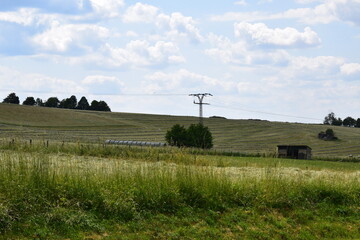 Eifel landscape with Grain fields in summer