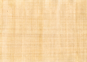 Old papyrus background texture