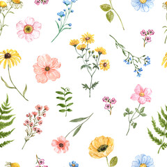 Watercolor floral seamless pattern on white background. Cute hand-painted wildflowers, and grasses botanical print.