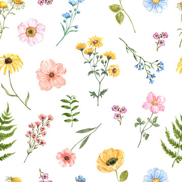 Watercolor floral seamless pattern on white background. Cute hand-painted wildflowers, and grasses botanical print.