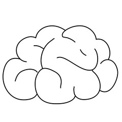 brain image for science and study