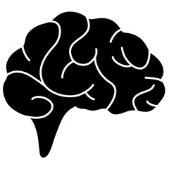 brain image for science and study