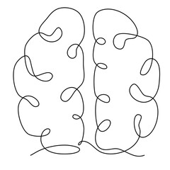 brain image for science and study